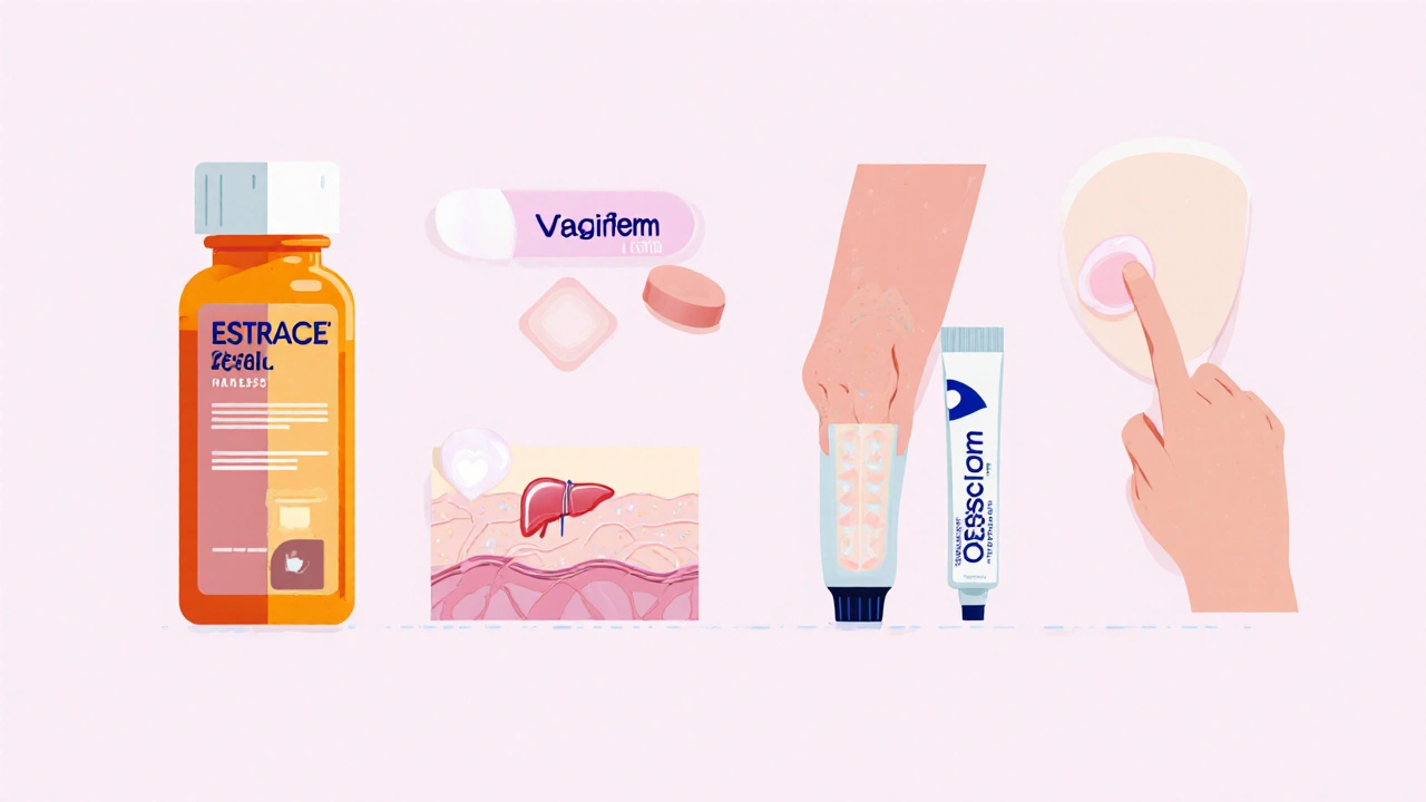 Illustration vectorielle comparant comprimé, patch, gel et comprimé vaginal.